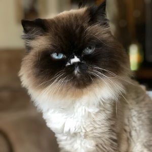 Meet your Posher, Caitlin